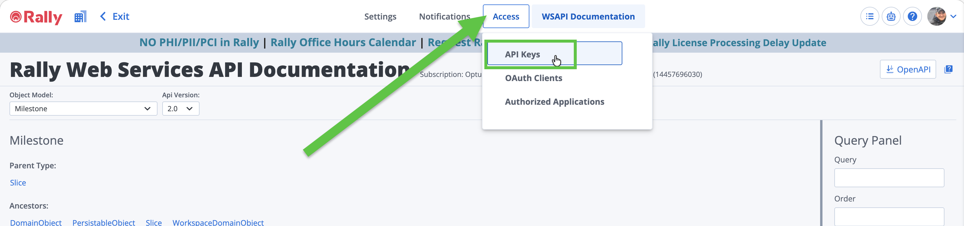 Rally WSAPI documentation Access menu with API Keys highlighted